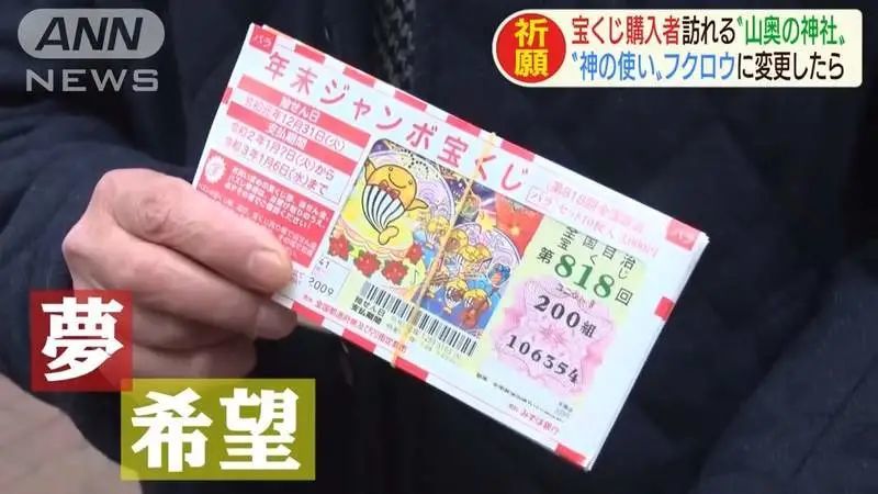 日本深山里的猫头鹰神社,可以保佑买彩票中奖,上一任神使据说是一只鸡