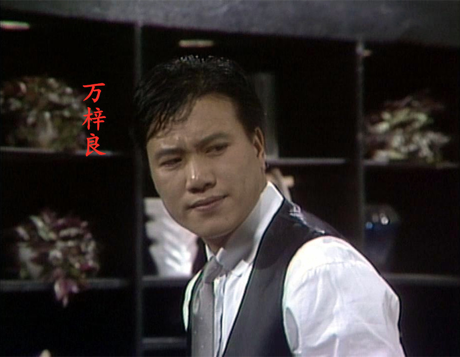 1986年的香港电视剧,万梓良,郑裕玲,吴启华领衔主演,你看过吗