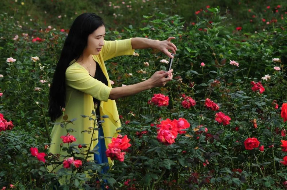 花蔓短剧，绽放的魅力与艺术的瞬间