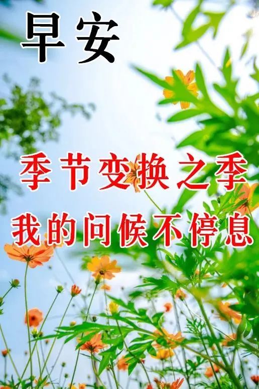 最新版2021最新早安问候祝福语图片带字温馨,早安问候