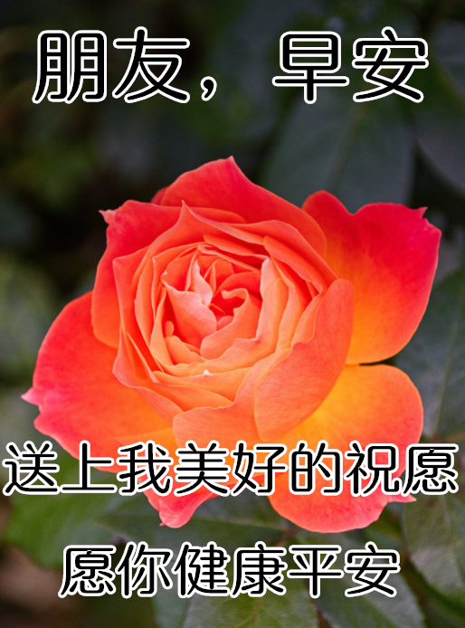 12月25日最漂亮早上好动态表情图片大全早晨好动图美图大全