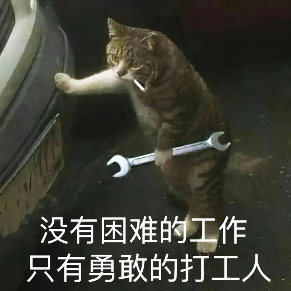 四川打工人的一句"找活路",早已看破了上班的本质