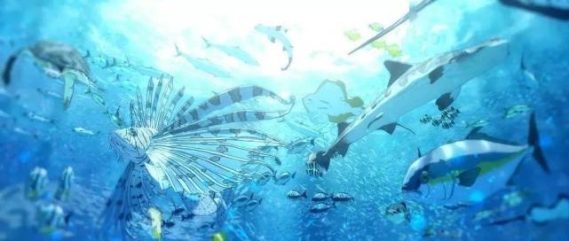 《海兽之子》你我都值得去看的生命之片,无与伦比的感官体验