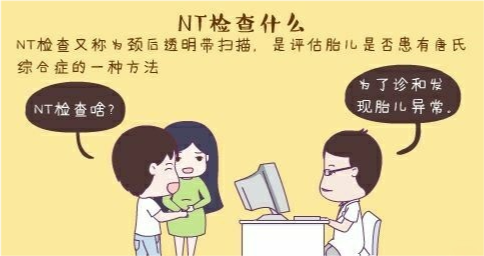 孕妇nt检查是检查什么的,这个检查一定要做吗?