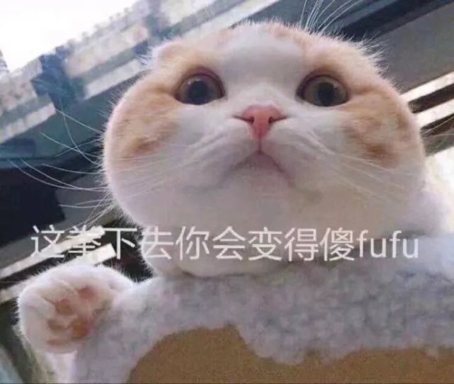 表情包:我的眼里都是心里都是全部都是你