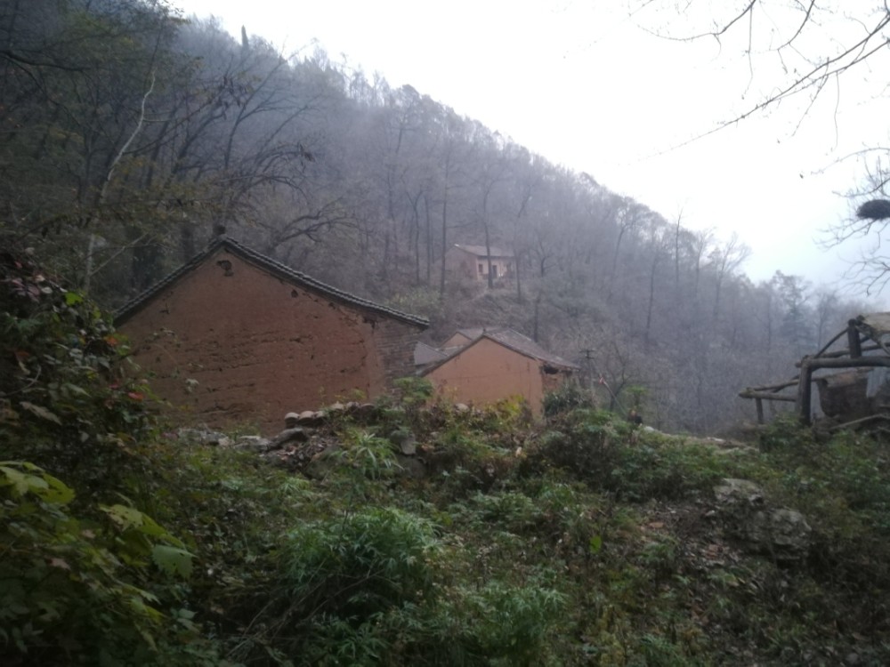 在秦岭赶夜路,深山发现"无人村",屋檐下还堆着柴火,却