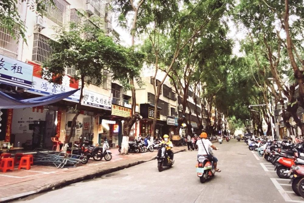 与你一起漫步在三亚街头,感受静谧好时光!