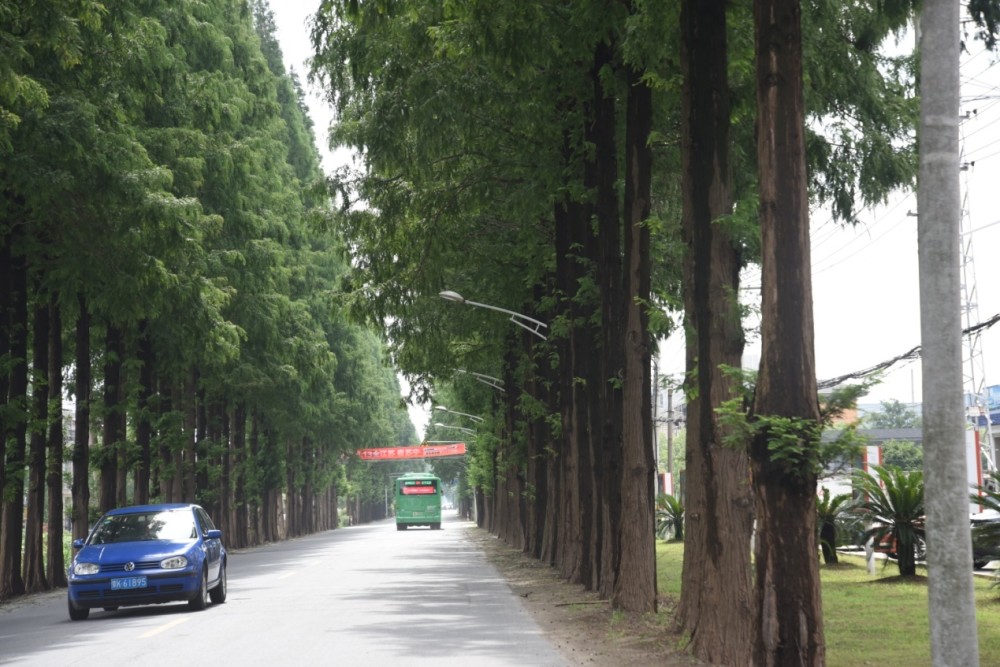 埭新村人口_恶狼游戏新村洸图片