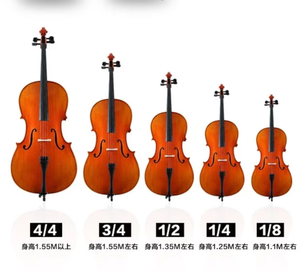 小提琴,中提琴,大提琴,低音提器尺寸身高对照表,赶紧收藏!