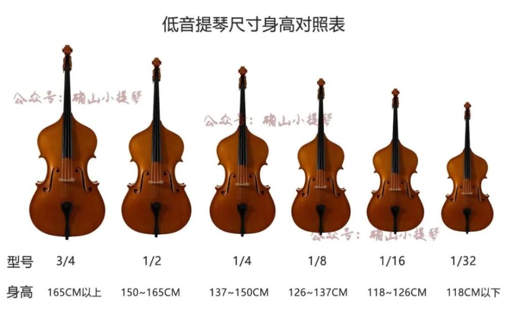 小提琴,中提琴,大提琴,低音提器尺寸身高对照表,赶紧收藏!