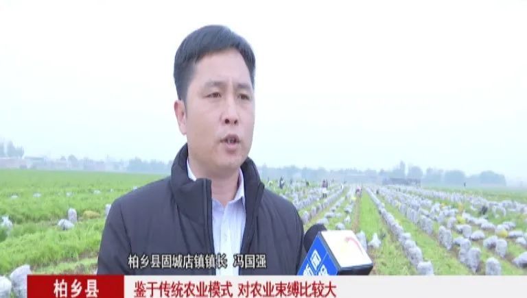 近年来,柏乡县结合本县实际,引导农民不断优化种植结构,采取"协会