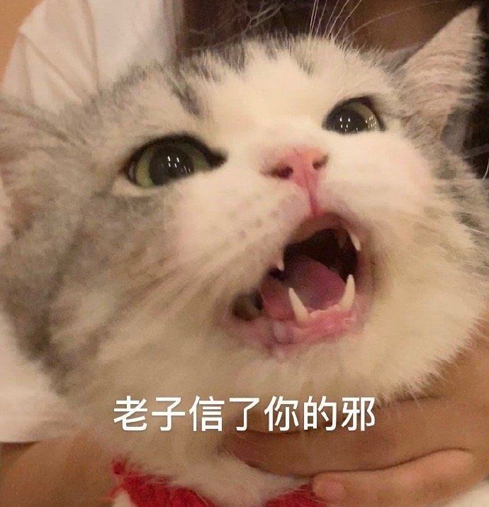 超级可爱的沙雕短句