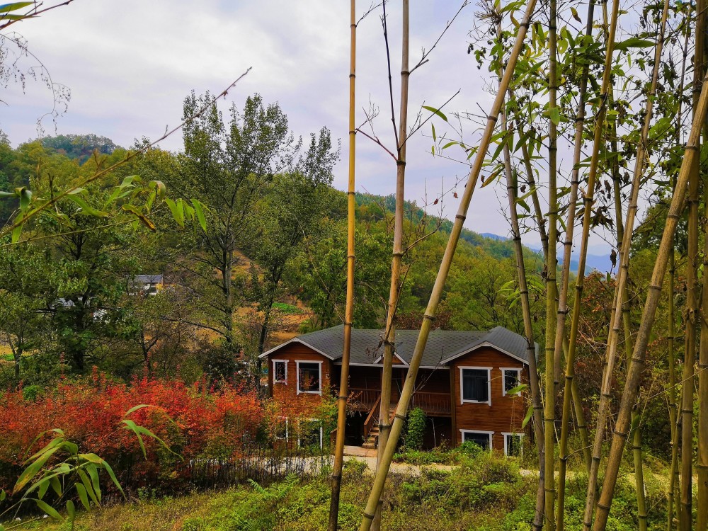 洛阳栾川县十大旅游景区之王府竹海,晚秋盛景犹在,适合自驾游