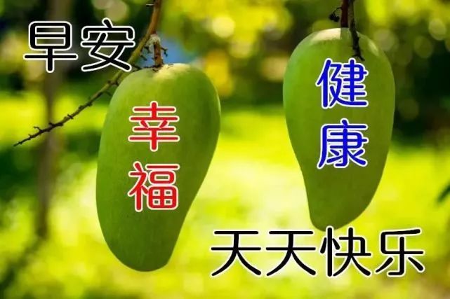 11月26日早安祝福语动态图片带字阳光治愈系暖心的祝福语