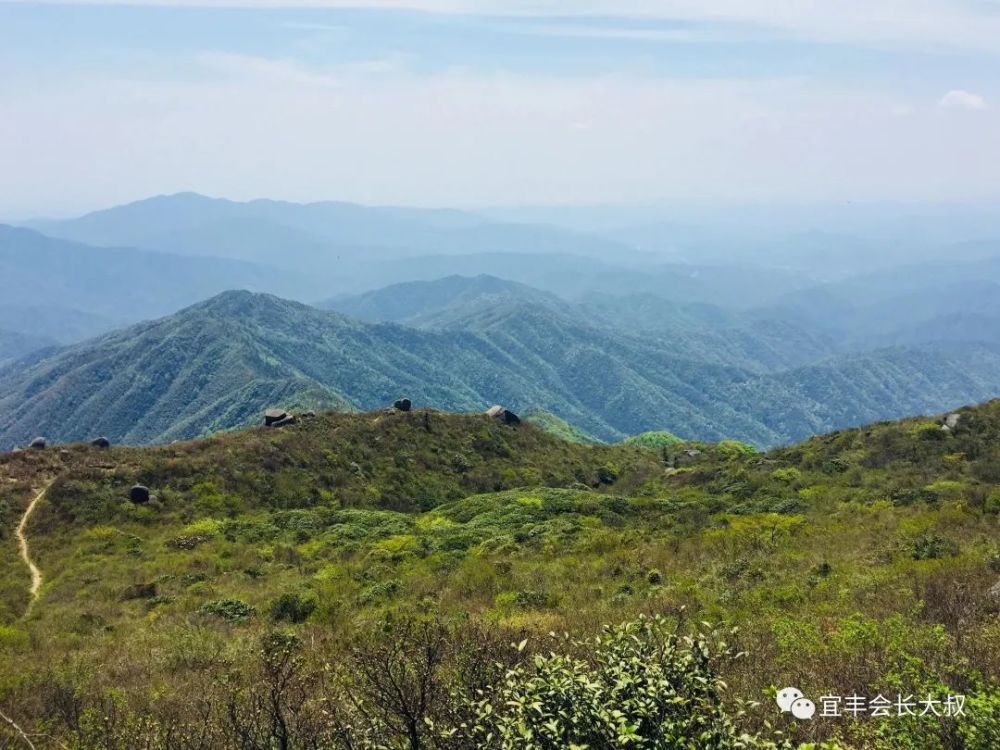 (站在官山石花尖上俯瞰层峦叠嶂的九岭山脉)