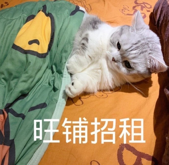 沙雕表情包l旺铺招租