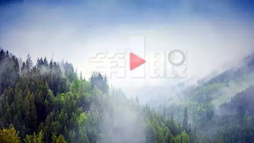 中考积累:初中文言文常见通假字汇总