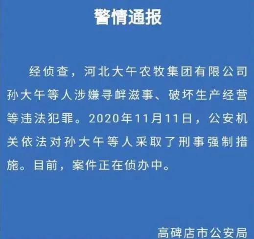 金仲兵大午事件可否从轻警示多方共赢