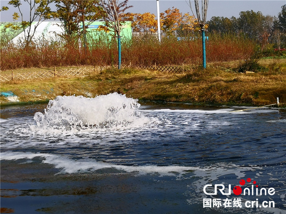 泰兴Gdp2021_2021年gdp世界排名图(3)