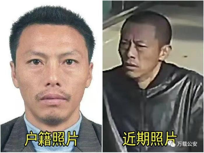 老总被杀_意大利女星被老总海滩(3)