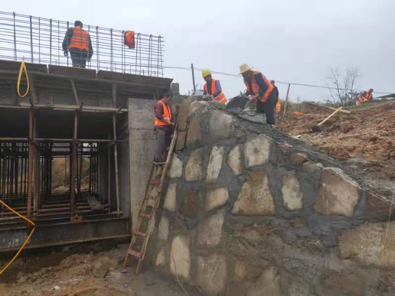 服务群众50年,桃林寺镇境内一危桥即将完成改造再"上岗"
