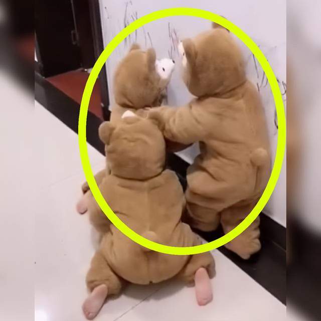 自从生了三胞胎,爸妈每天看着三兄弟在家干这事,画面好萌好可爱