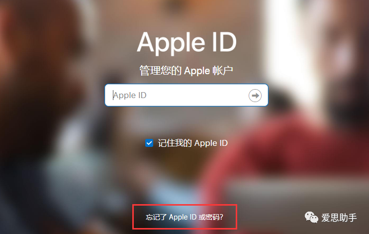 apple登录