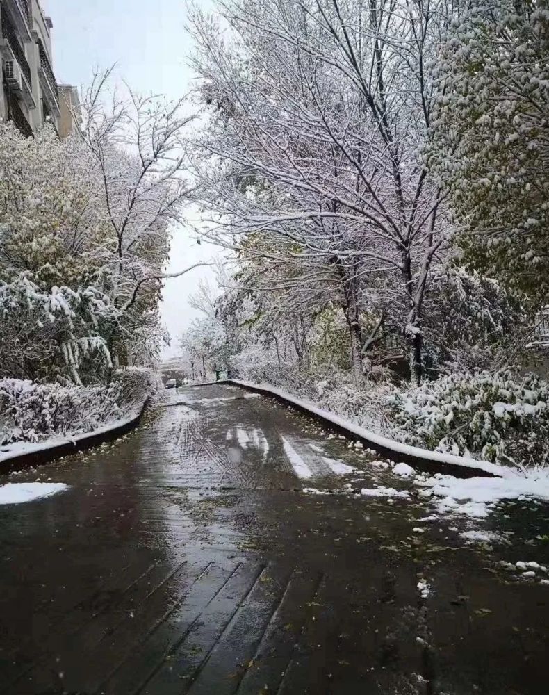 库尔勒将迎来小雪,降温天气,气温下降5至8