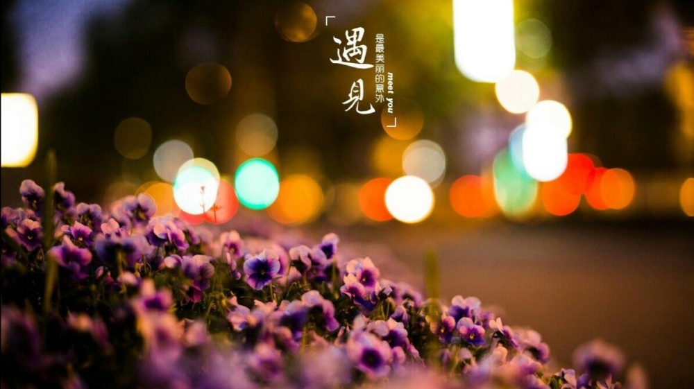 和你相遇在人海,是上天的安排.