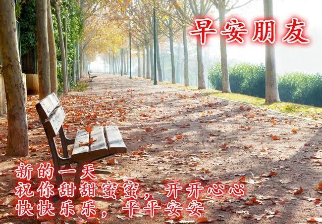 微信朋友圈最美冬日祝福语句唯美冬天祝福语图片大全2021