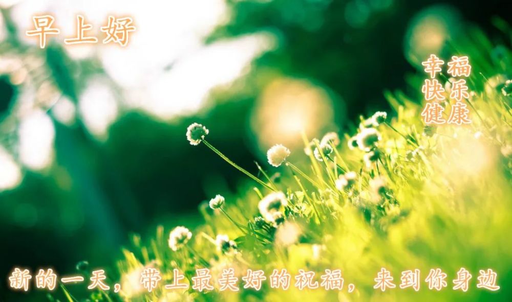祝你今天有个好心情,早安.