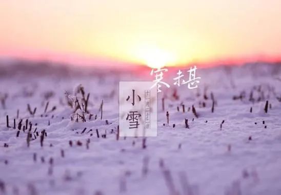 小雪节气关心问候祝福语小雪节气幸福快乐常沐暖阳