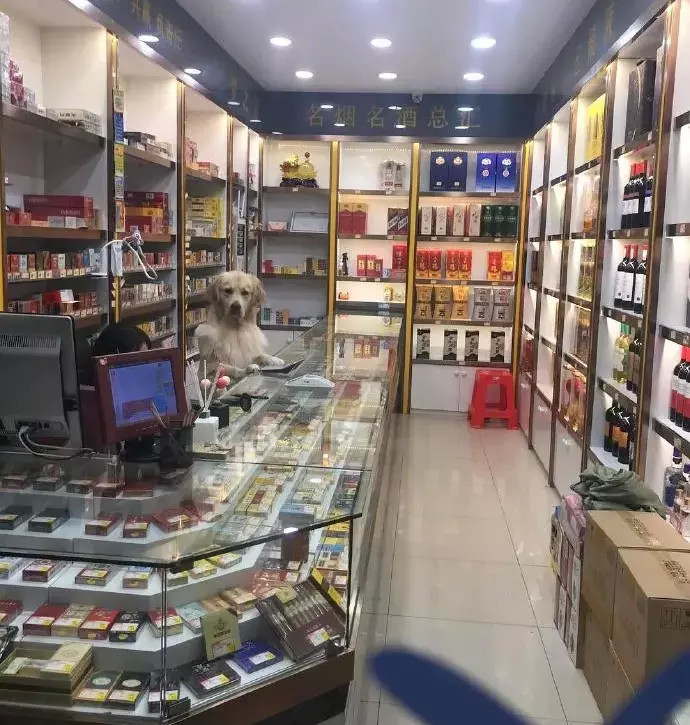 "分手后,男朋友怎么还不换头像?"哈哈哈这就是海王的世界!