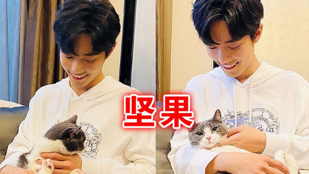 令人无奈的明星特殊情敌肖战王一博尚可看到朱一龙确实抢不过