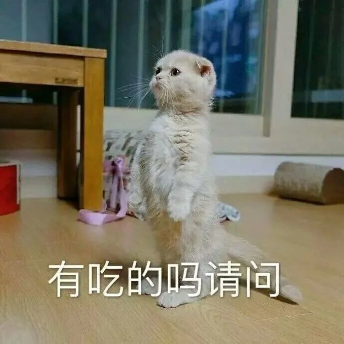 萌萌哒表情包大全