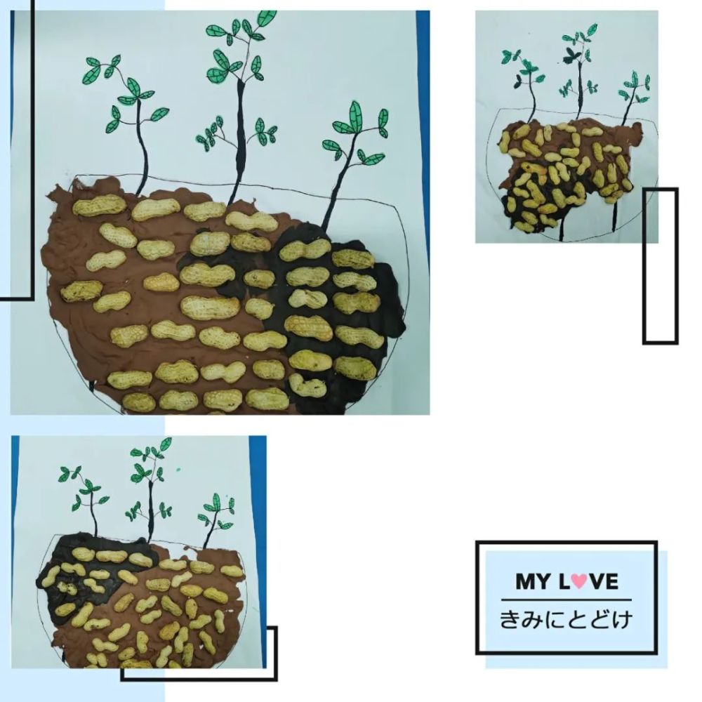 手工diy——巧用花生壳