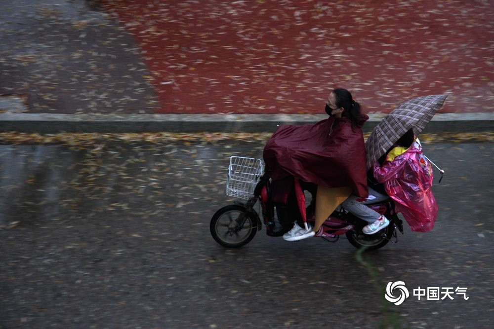 图为山东威海降雨,行人打伞穿雨衣出行(图/宋永强)