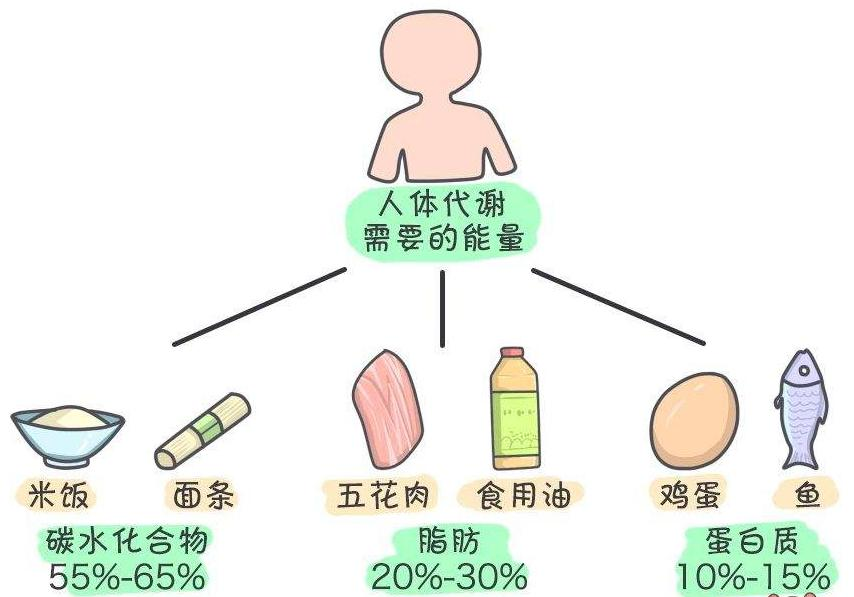 昆明南亚科大肝病医院慢性肝病患者怎么通过饮食补充蛋白质