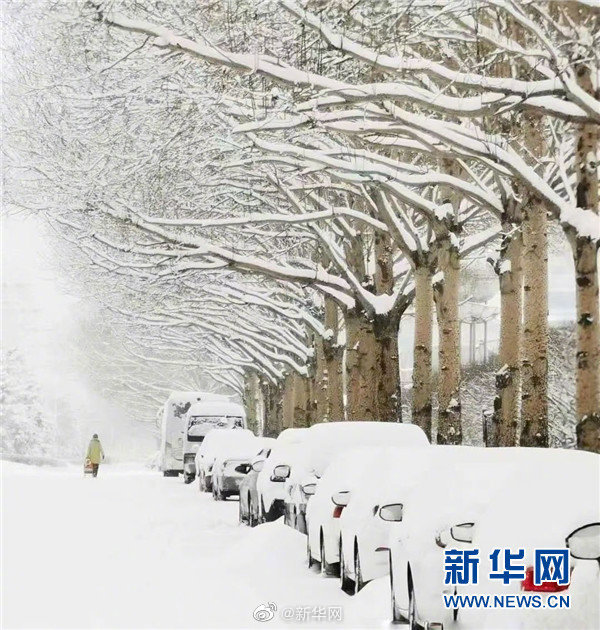 暴雪应急响应等级升至二级】截至19日7时,大庆南部,哈尔滨,七台河西部