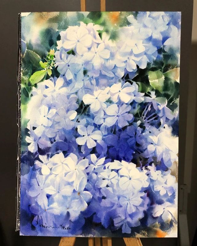 每天与花朵交流 adisorn pornsirikarn仿佛能听见 这些花儿的喜怒哀乐
