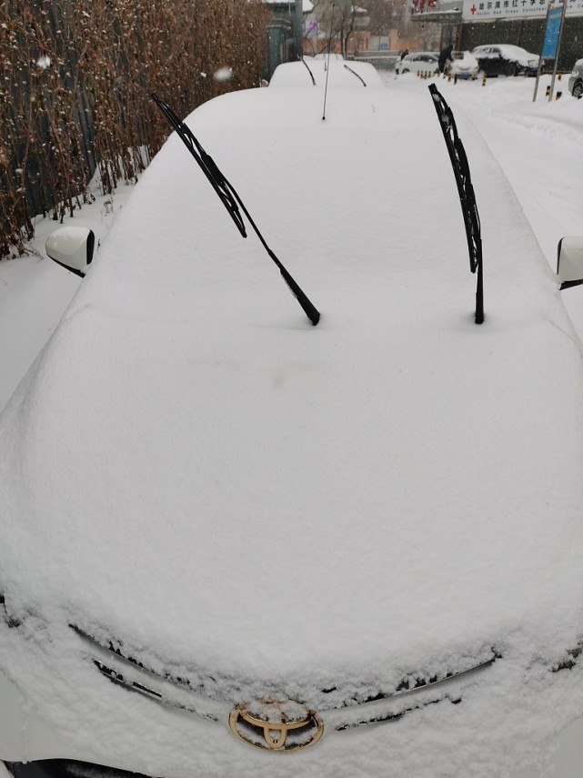 哈尔滨迎入冬首场大雪