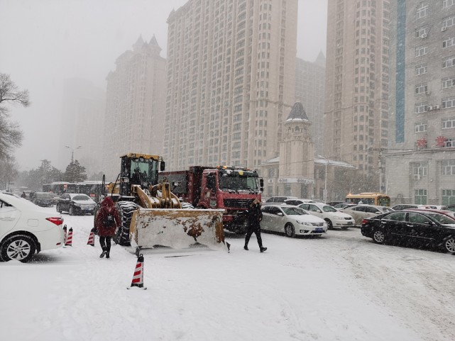 哈尔滨迎入冬首场大雪