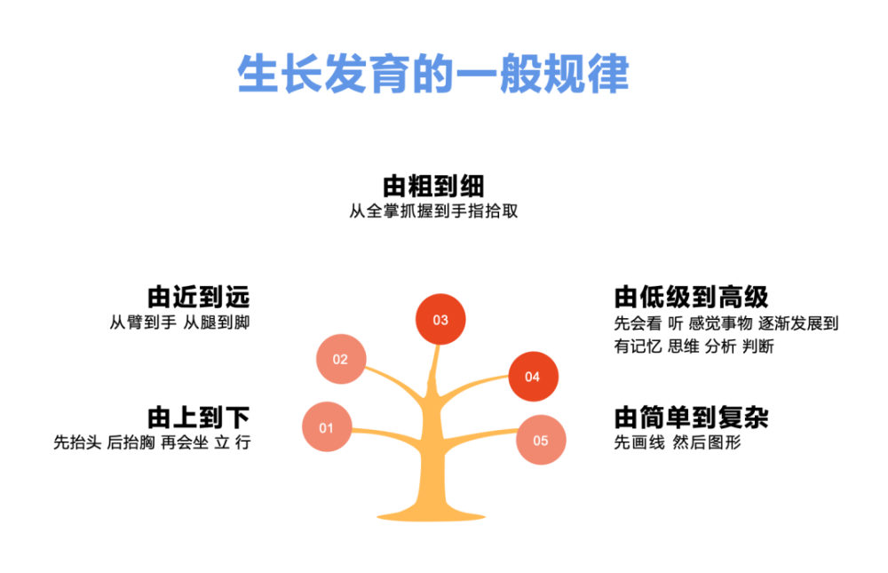 3)孩子的动作发育是从粗到细的动作,从全掌抓握到手指拾取的过程 4)