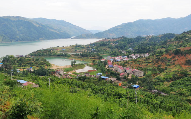 河南辖市区经济总量人均_河北山东河南市区地图