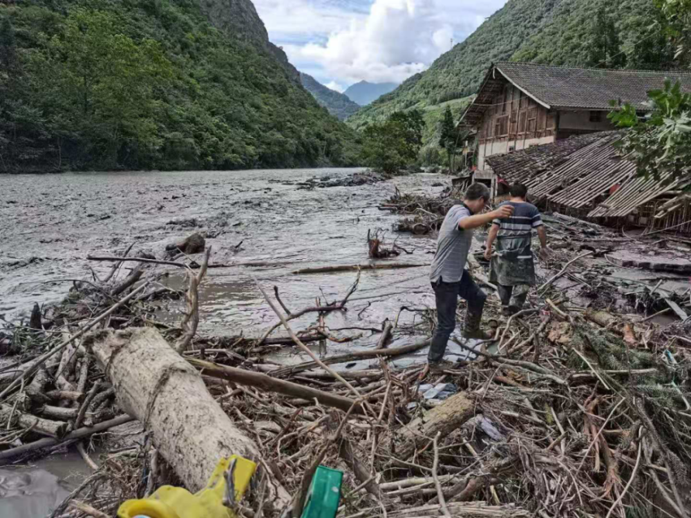 壁山区人口_人口普查(2)