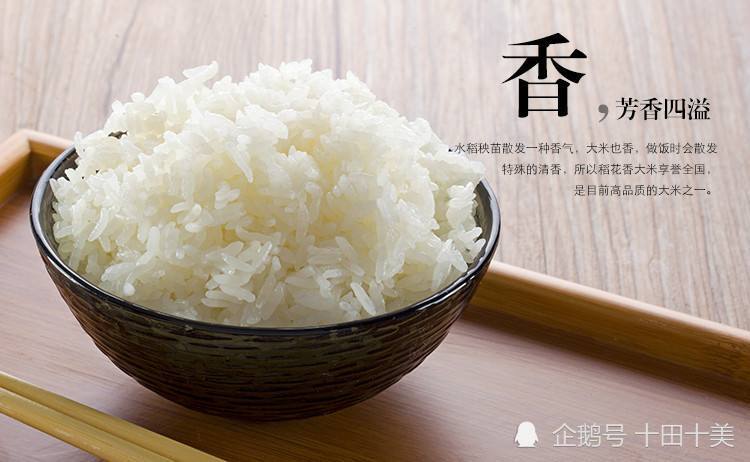 大气底人口_人口普查(3)