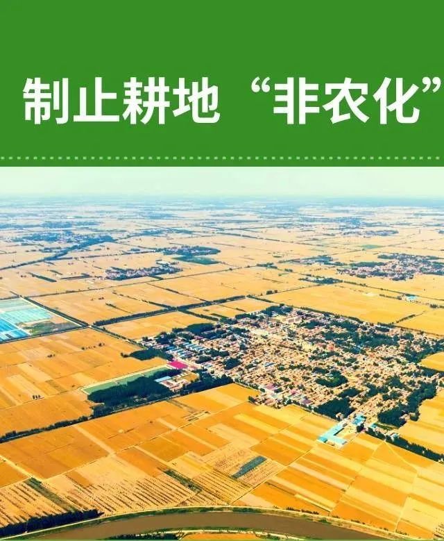 以案例说政策"六个严禁"坚决制止耕地"非农化"