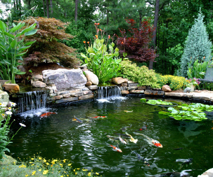选择适当的高度,在池塘里放着几条鱼,这样的设计不仅使花园看起来非常