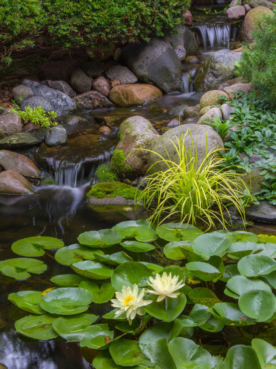 庭院鱼池:10个花园庭院鱼池设计,让它成为花园的"点睛