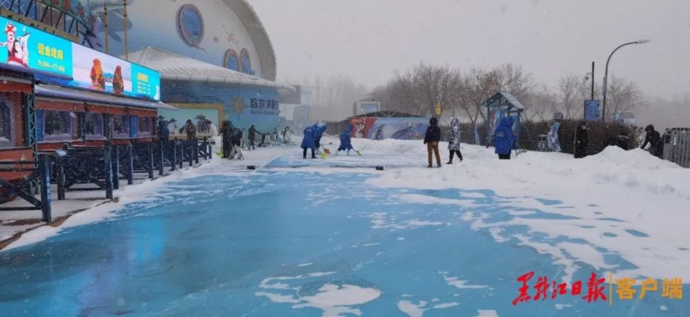 降雪明天趋于结束…黑龙江进入"梦幻雪世界!